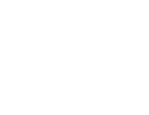 Frame 215